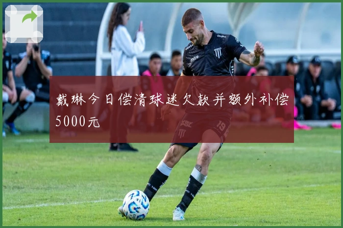戴琳今日偿清球迷欠款并额外补偿5000元